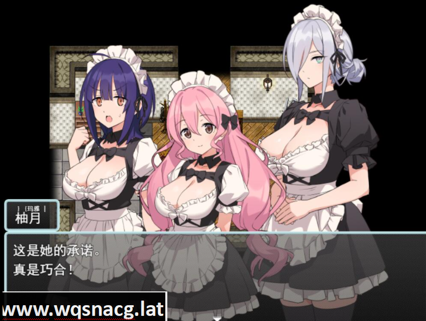 [RPG/汉化] 女仆和我的家 Hとメイドとマイホーム V1.01 PC+安卓汉化版游戏中文版下载|无需安装解压即玩|游点东西