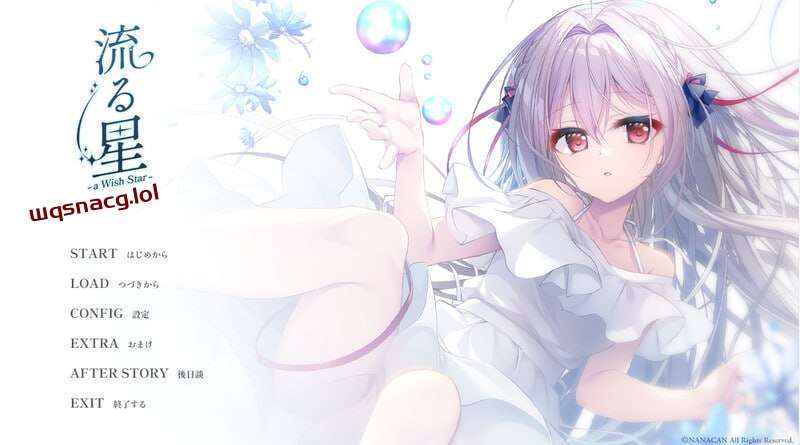 [拔作ADV] 流星-a wish star 流る星 v1.0 Steam官方中文+CG1.8G游戏中文版下载|无需安装解压即玩|游点东西