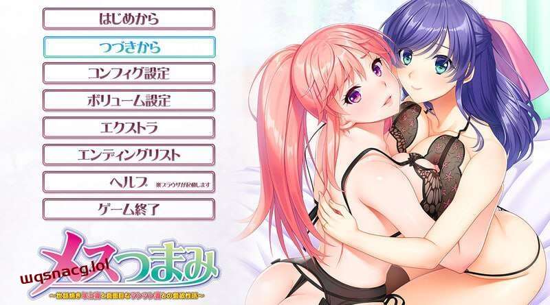[拔作ADV] 亲密关系～照顾人的年长妻子和认真的冷淡妻子的爱欲生活～v1.0 AI汉化版+全CG存档 2.2G游戏中文版下载|无需安装解压即玩|游点东西