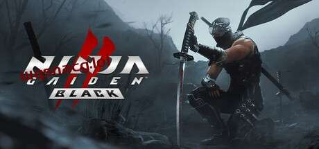 忍者龙剑传2：黑之章NINJA GAIDEN 2 Black v1.0.0官方中文免安装版游戏中文版下载|无需安装解压即玩|游点东西