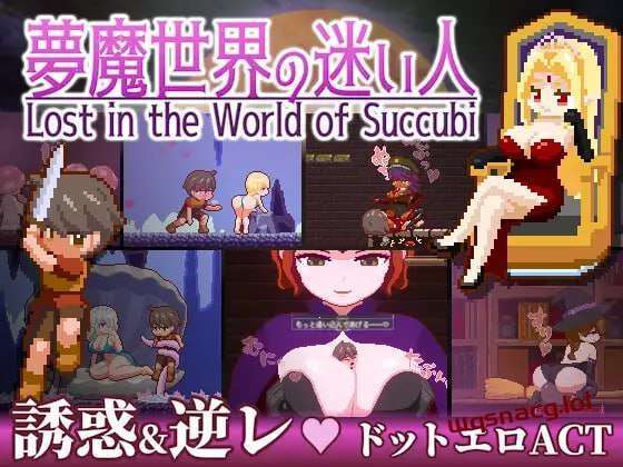 [动作ACT/像素动态] 迷失在梦境中 夢魔世界の迷い人 v1.03PC+安卓 官方中文版游戏中文版下载|无需安装解压即玩|游点东西